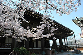 顕証寺の歴史（概要）